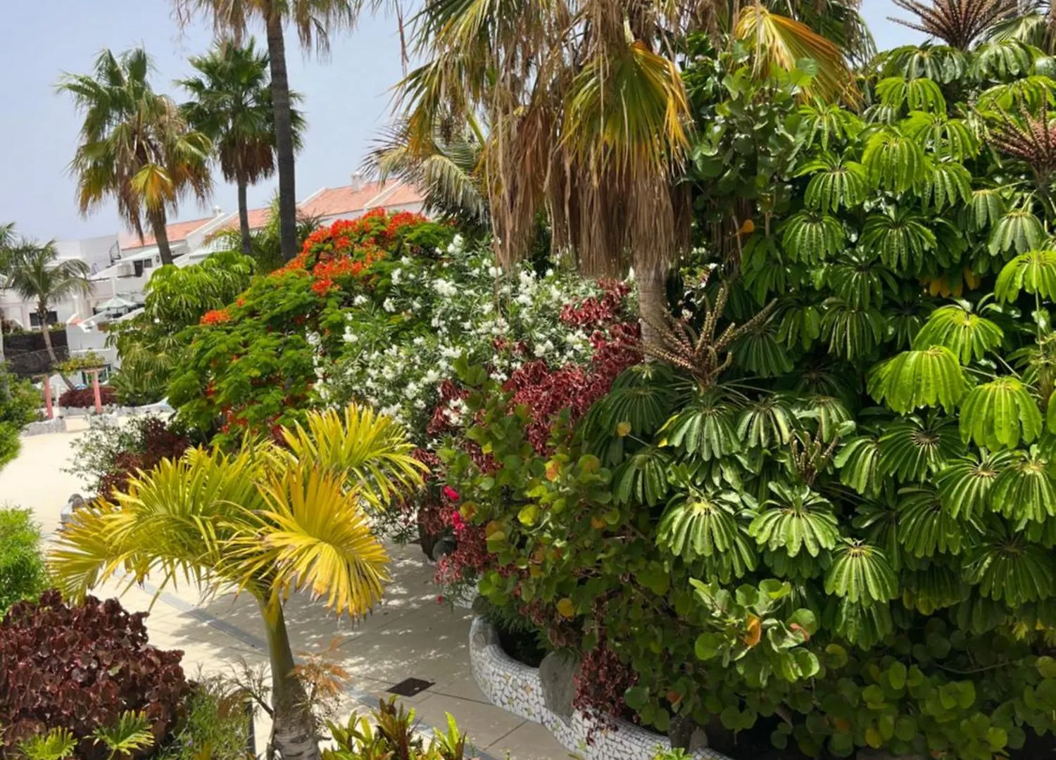 Apartamento Parque Don Jose 128 Costa del Silencio España